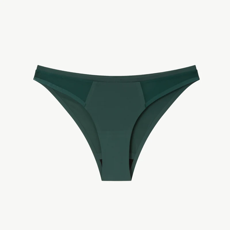 Understatement Micro Period Bikini Briefs