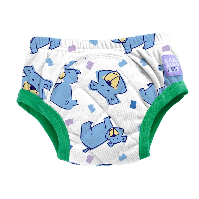 Reusable Potty Training Pants in Champ
