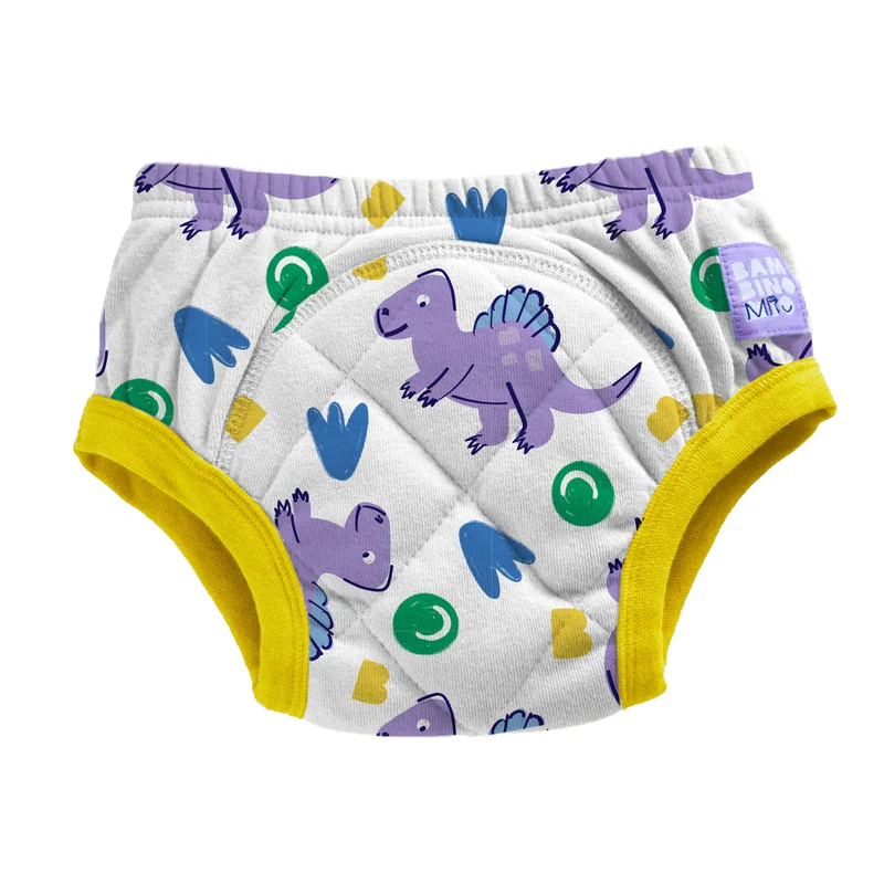 Reusable Potty Training Pants in Crash
