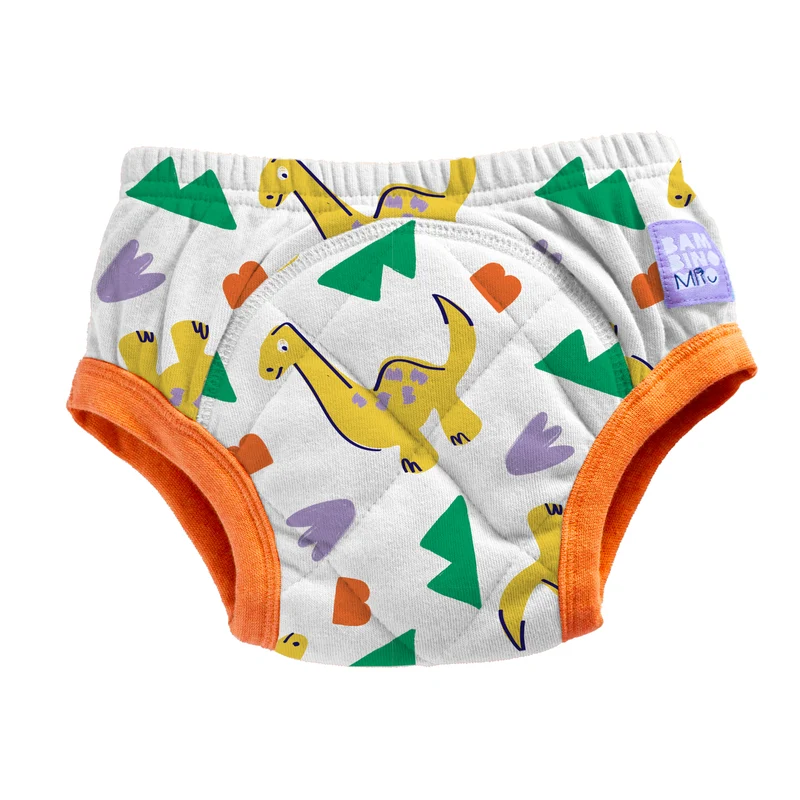 Reusable Potty Training Pants in Rumble