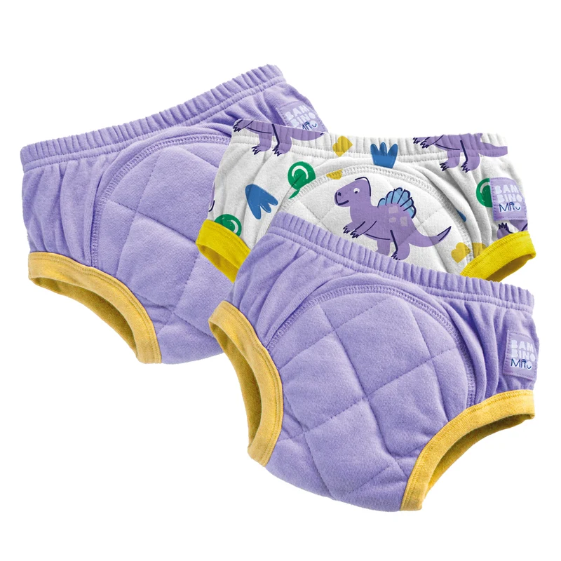 3 Pack Reusable Potty Training Pants in Purple Dinosaur