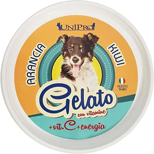 UNIPRO GELATO ARANCIA KIWI GR.60