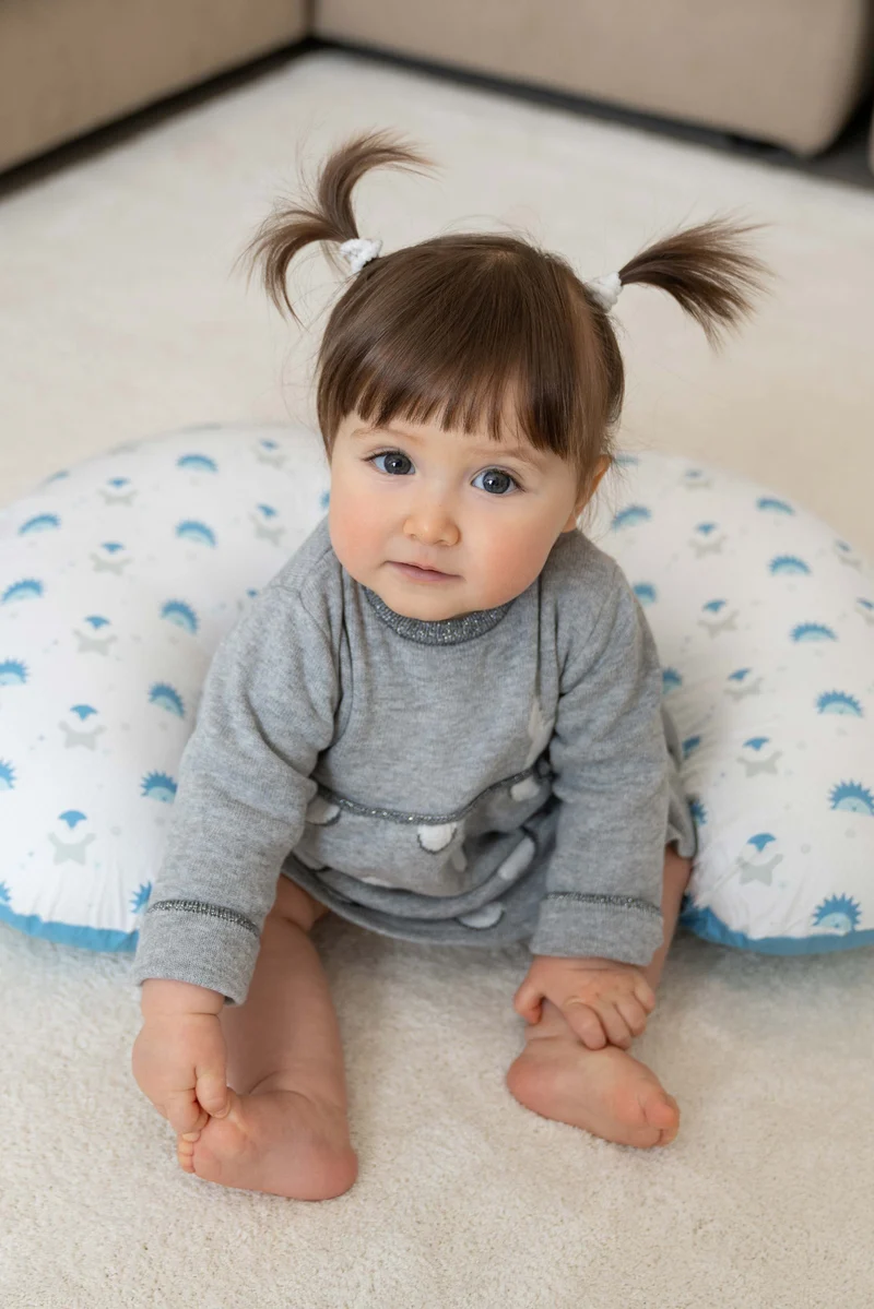 HUG BABY Breastfeeding Pillow - Hedgehog Penguin