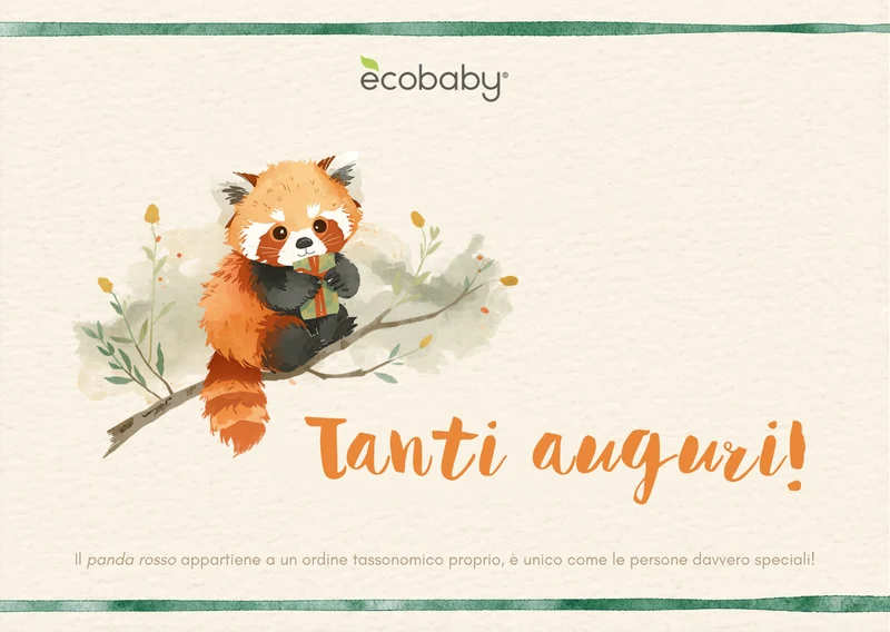 Gift Card Ecobaby