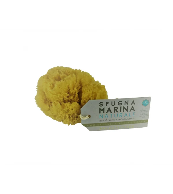 Spugna marina per adulti e bambini