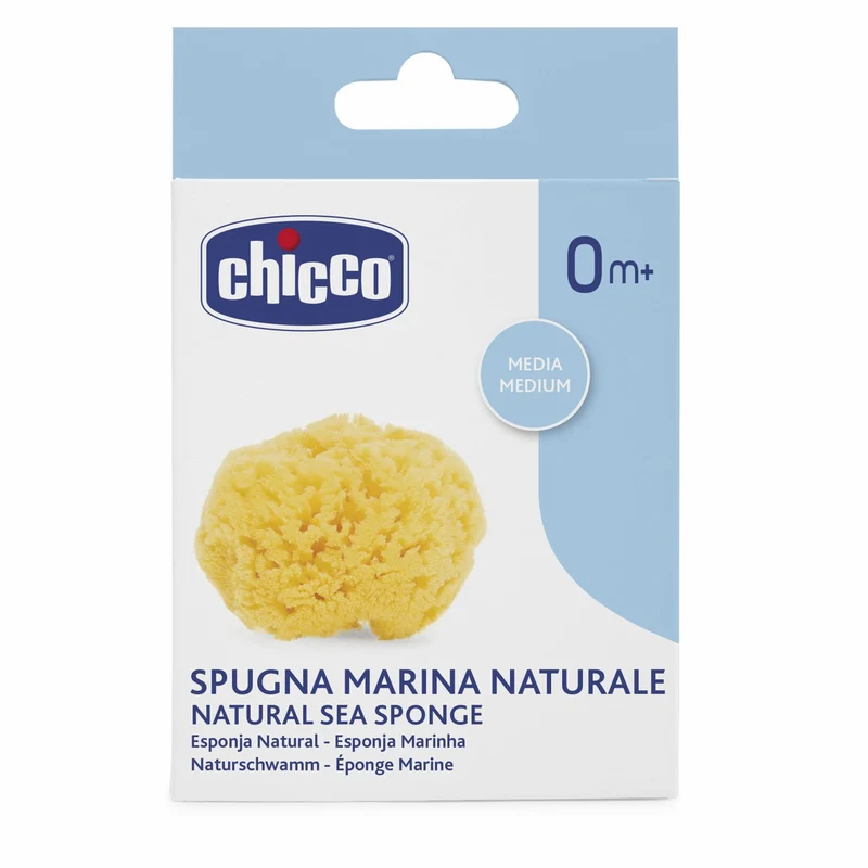 Spugna Marina, Chicco