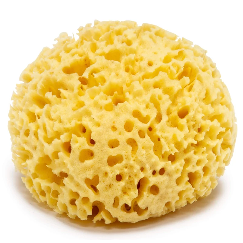 IO BIMBO SPUGNA NATURALE (lista n Giulio e Martina-12536)