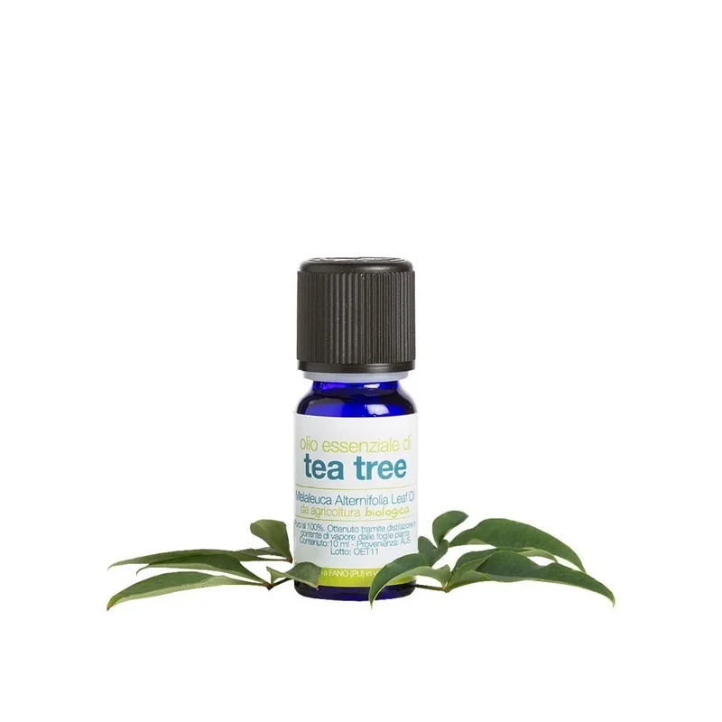 Olio essenziale di Tea Tree – Olio Essenziale Antisettico per Pelle Mista