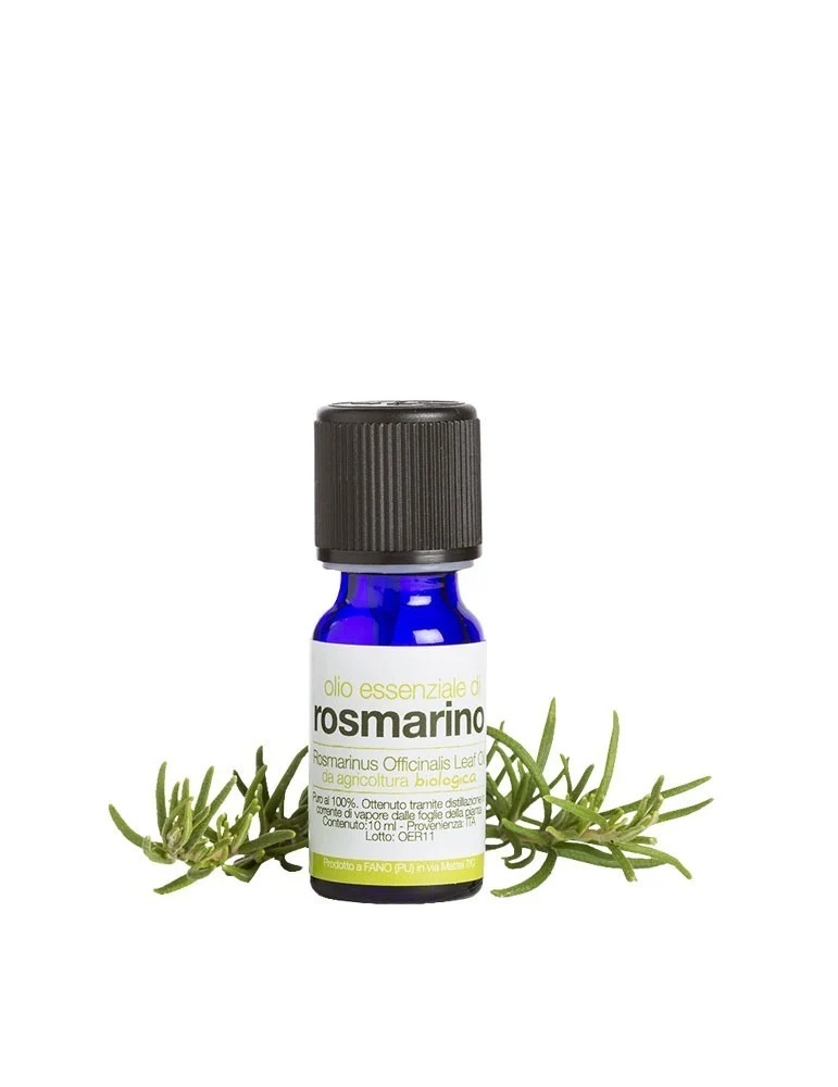 Olio Essenziale di Rosmarino – Energizzante e Dermopurificante