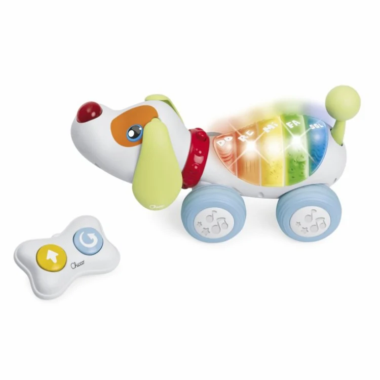 DOGREMI RC 2023