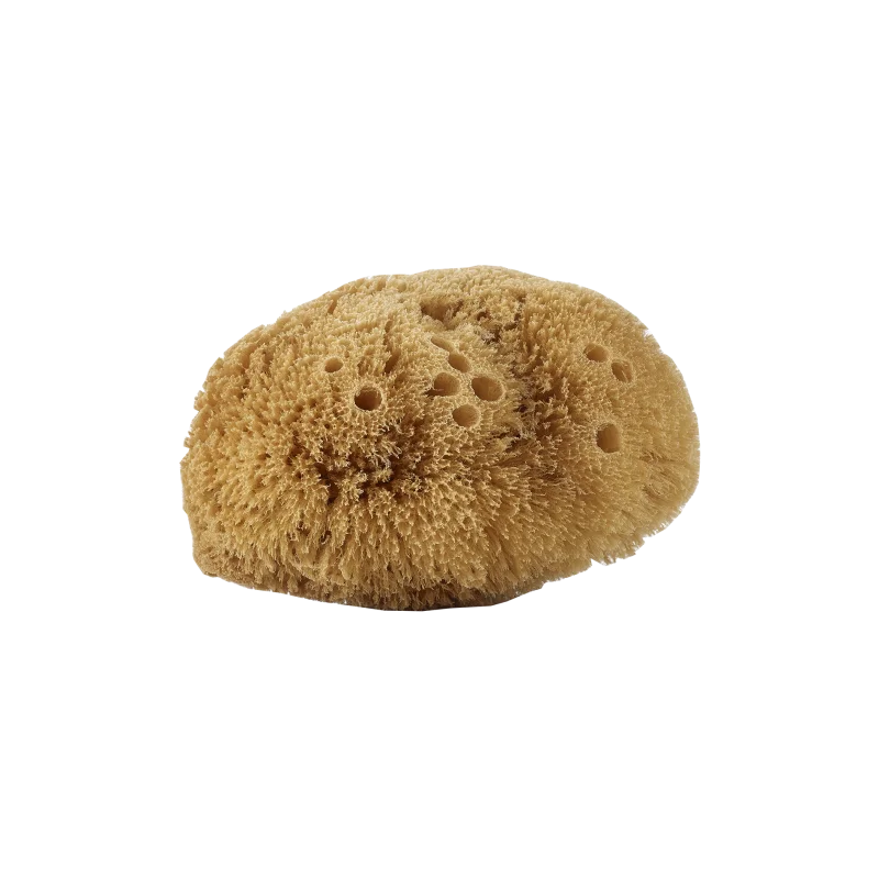 Spugna Corpo Naturale