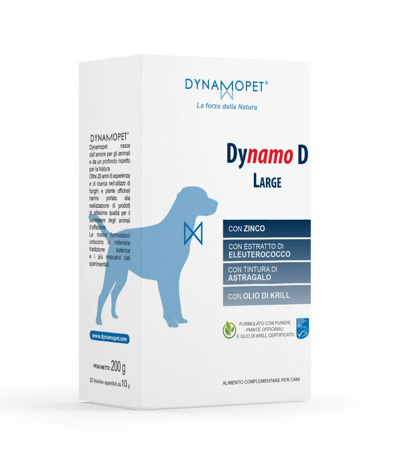 Dynamo D Large 20 Bustine Da 10g
