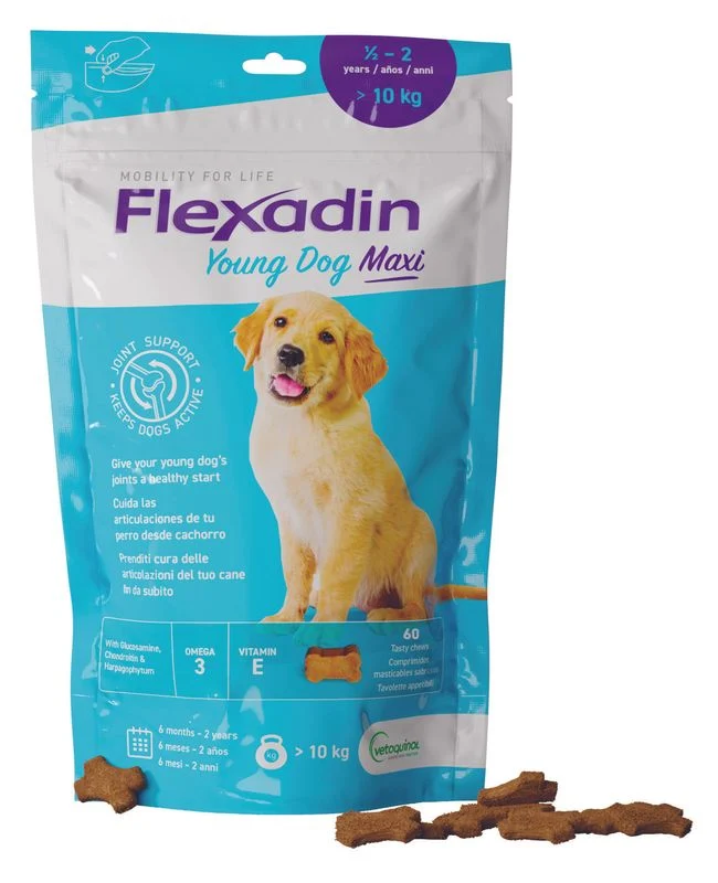 Flexadin Young Mangime Complementare Articolazioni Cani Giovani Taglia Grande 60 Tavolette
